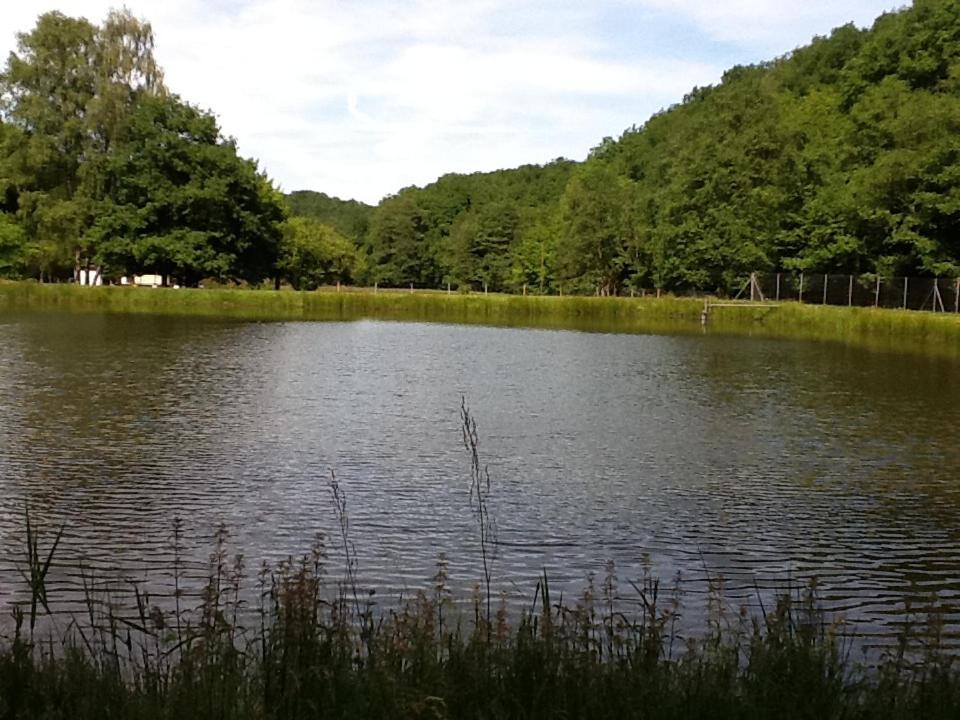 Chalet De Luve Vireux-Wallerand 外观 照片